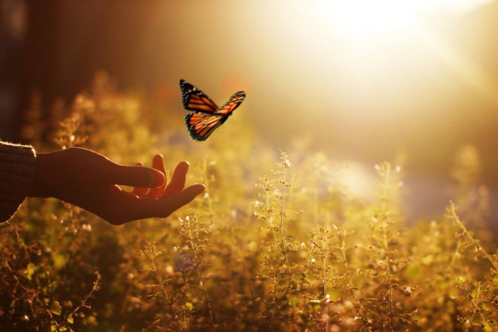 luchshij-mir | Осознанные сновидения и внетелесные путешествия Лучший мир