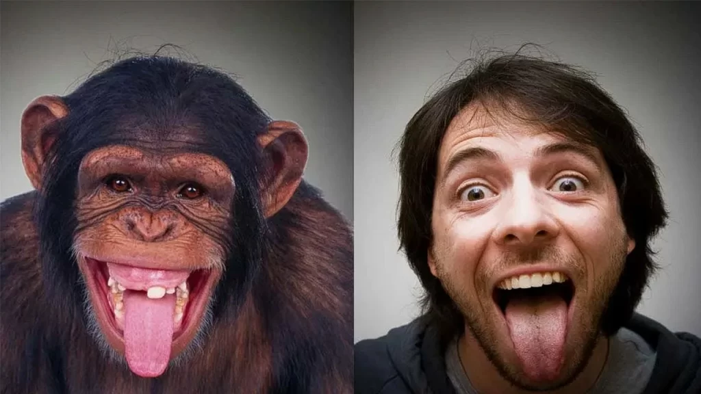 lyudi-obezyany | Осознанные сновидения и внетелесные путешествия Люди-обезьяны